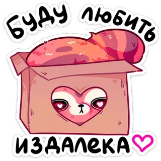 ⭐ 01a9d55e Буду любить издалека животное, енот, любовь, коробка, милый, мультфильм, сердце telegram sticker