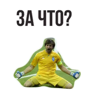 👌 f9f6d5ec ЗАЧТО? piłka nożna, piłka nożna, bramkarz, sport, rosyjski, pytanie telegram sticker