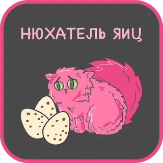 👌 798cfeb7 НЮХАТЕЛЬ ЯИЦ kot, jajka, różowy, zwierzę, kreskówka telegram sticker