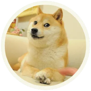 😨 e0794db7 Doge Doge, Meme, Pies, Shiba Inu, Mem Internetowy telegram sticker