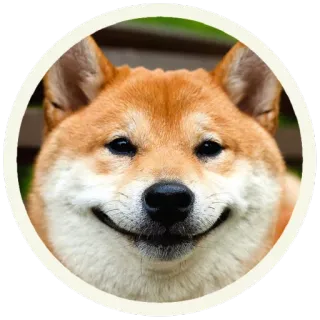 😊 fa4b4255 pies, shiba inu, mem, zwierzak, zwierzę, słodki, uśmiechnięty telegram sticker