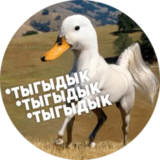 🤪 df72dec1 *ТЫГЫДЫК
*ТЫГЫДЫК
*ТЫГЫДЫК canard, cheval, animal, drôle, mème, hybride telegram sticker
