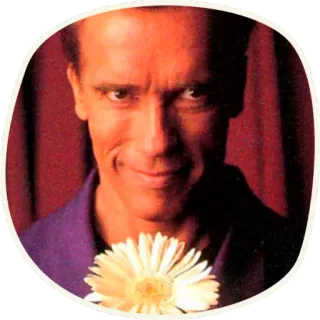 ❤️ cb824826 Arnold Schwarzenegger célébrité, acteur, fleur, portrait telegram sticker