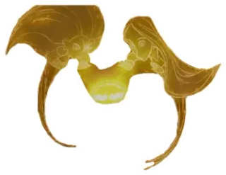 🕊 6743814b telegram sticker