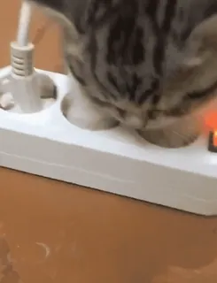 My size whatsapp stickers