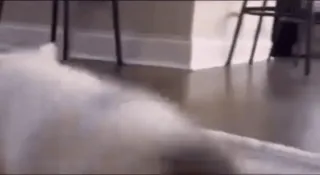 🤪 ddf5b113 telegram sticker