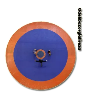 wrestling telegram stickers