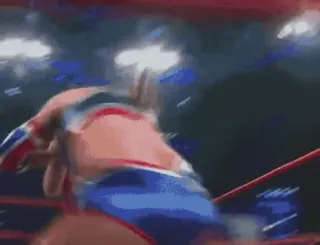 🤼‍♂️ 45337d8f 레슬링, 격투, 컴뱃, 스포츠, 운동 telegram sticker