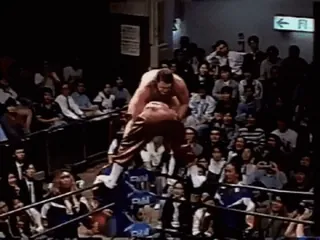 🤼‍♂️ b2a3e82e 레슬링, 스포츠, 액션, 싸움, 관중 telegram sticker