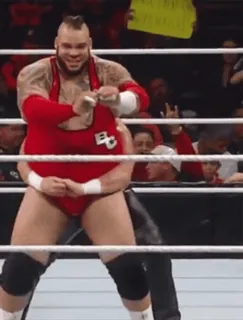 🤼‍♂️ ceace332 레슬링, 스포츠, 격투, 싸움, 운동선수 telegram sticker