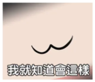 🐸 da9d8dba 我就知道會這樣 texte chinois, animé, bouche whatsapp sticker