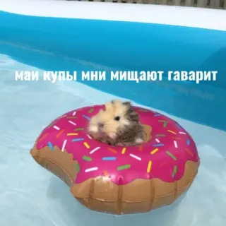 Больше стиков тут: @stikery4 telegram stickers