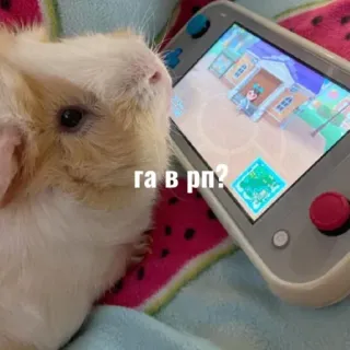 Больше стиков тут: @stikery4 telegram stickers