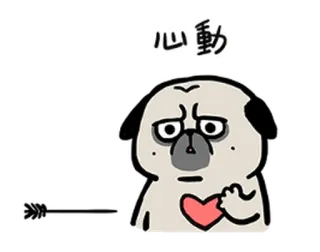🥰 47b6f3d4 心動 chó, chó pug, trái tim, tình yêu, chữ Trung Quốc, hoạt hình, dễ thương telegram sticker