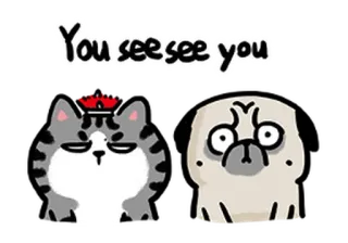 😳 6eef38a0 You see see you mèo, chó, chó pug, nhãn dán, phim hoạt hình telegram sticker