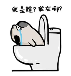😨 9aa0a25f 我是誰？我在哪？ Hải mã, Nhà vệ sinh, khóc, buồn, câu hỏi, lạc, bối rối telegram sticker