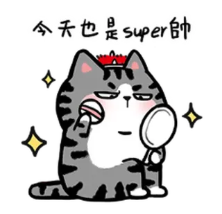 🙆 cdb95b01 今天也是super帥 mèo, dễ thương, lấp lánh, gương, chải chuốt, hoạt hình, nhãn dán động telegram sticker