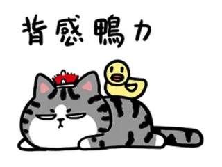 🐥 f70895b7 背感鴨力 mèo, vịt, động vật, dễ thương, hoạt hình, nhãn dán telegram sticker