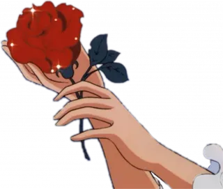 🦯 368a0887 rose, hand, flower, elegant, romance, love telegram sticker