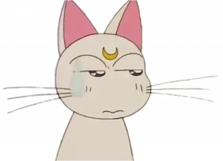 WunamiSaturday telegram stickers