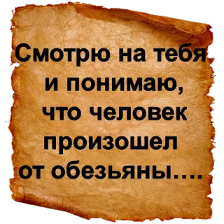 🙈 be2a3fac Смотрю на тебя и понимаю, что человек произошел от обезьяны.... divertente, scimmia, insulto, scimmia, umorismo, scherzo telegram sticker