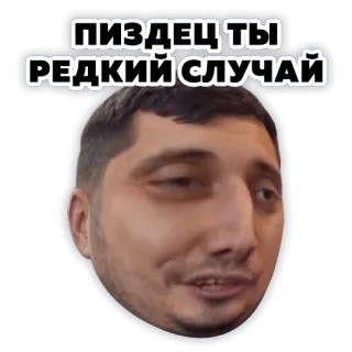 🧐 3517d7e9 ПИЗДЕЦ ТЫ РЕДКИЙ СЛУЧАЙ ruso, Meme, divertido, raro, jerga, humor telegram sticker