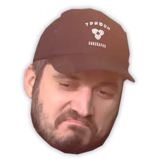 🤔 cf1bf26a ТРИФОН telegram sticker