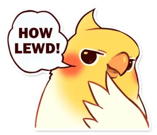 😉 49ea95a9 HOW LEWD! calopsita, pássaro, safado, adesivo, meme, anime, fofo, engraçado telegram sticker
