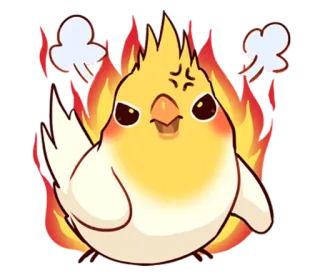 😡 604750a2 pássaro, calopsita, bravo, fogo, desenho animado telegram sticker