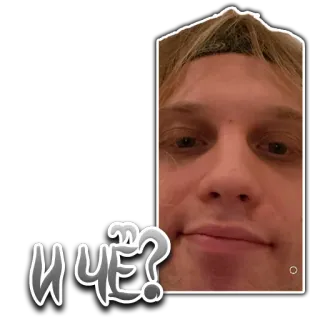 ❔ 26794285 И ЧЕ? telegram sticker