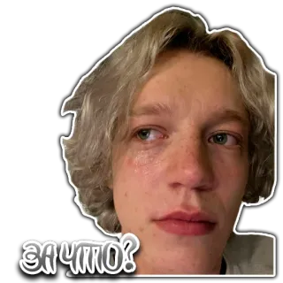 😢 28730fde ЗА ЧТО? 슬픔, 울음, 화남, 질문, 러시아, 얼굴 telegram sticker