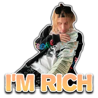 🤑 64e3f505 I'M RICH 돈, 부자, 부, 현금, 백 달러 지폐, 블링, 성공 telegram sticker