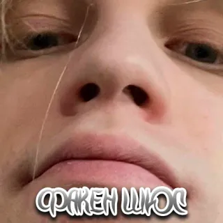 🤭 86f49adb фракен шос telegram sticker