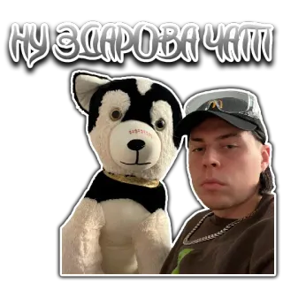 🙋 d15da8b1 НУ ЗДАРОВА ЧАТ! 인사말, 채팅, 허스키, 남자, 스티커 telegram sticker