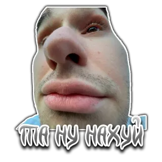 ⁉️ faa2342a ТА НУ НАХУЙ 불쾌한, 얼굴, 러시아어, 슬랭, 욕설, 밈 telegram sticker