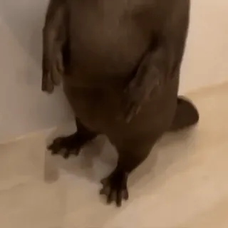 😟 88c665aa telegram sticker