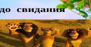 xelivet kang I telegram stickers