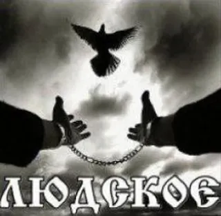 🌟 7bb949fa ЛЮДСКОЕ merpati, tangan, rantai, kebebasan telegram sticker