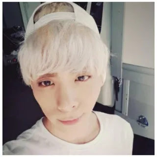 💚 7551e201 人, 自拍, 白发, 肖像 telegram sticker