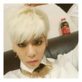 💚 85cf3686 telegram sticker