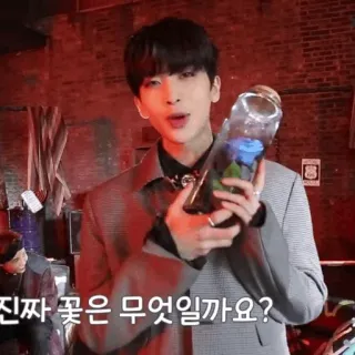 🥀 2cd1de89 진짜 꽃은 무엇일까요? hombre, flor, rosa azul, tarro, coreano, interior telegram sticker