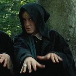 👻 7ec130ae Draco Malfoy Harry Potter 드레이코 말포이, 해리 포터, 슬리데린, 마법사, 죽음을 먹는 자 telegram sticker