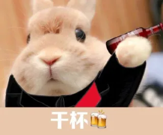 🍻 0b500d1d 干杯 bunny, beer, cheers, drink, rabbit, alcohol telegram sticker