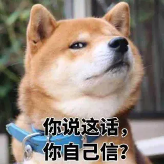 😒 2bbb0349 你说这话，你自己信？ dog, meme, shiba inu, funny, sarcastic telegram sticker