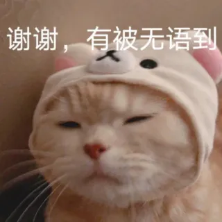 😑 333df8b7 谢谢，有被无语到 cat, meme, funny, animal, cute, wearing hat telegram sticker
