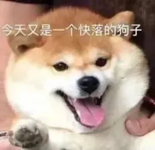 😊 38c1eebd 今天又是一个快落的狗子 dog, shiba inu, meme, happy, funny telegram sticker