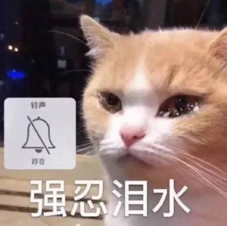 🥺 60a84858 铃声
静音
强忍泪水 cat, crying, sad, meme, silenced bell, notification telegram sticker