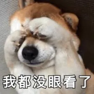 🌚 6b21743e 我都没眼看了 dog, sad, animal, cute, meme telegram sticker
