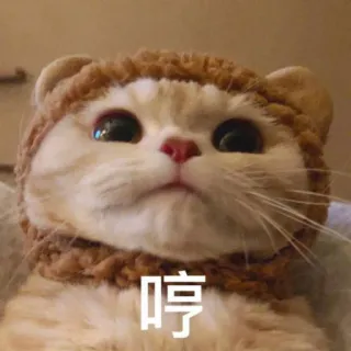 😤 6beb3472 哼 cat, cute, animal, pet, domestic animal telegram sticker