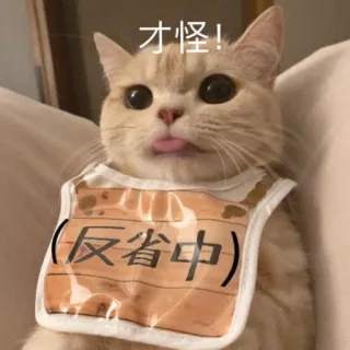 🌚 90f2bdd5 才怪! (反省中) cat, animal, cute, tongue, bib telegram sticker